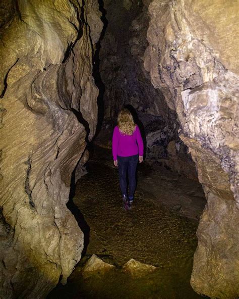 Abbey Caves Bay Of Islands & Northland