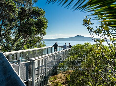 Achilles Point Lookout Auckland
