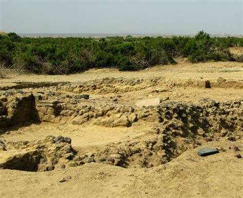 Adulis Archaeological Site Eritrea