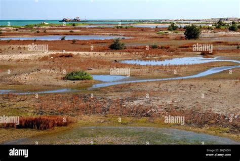 Al Bahair Mini Canyon & Wetlands Bahrain