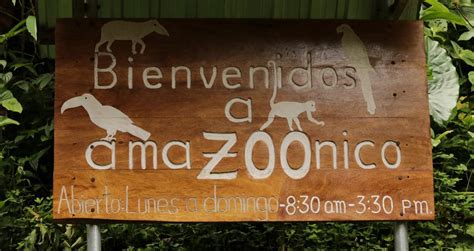 AmaZOOnico The Oriente