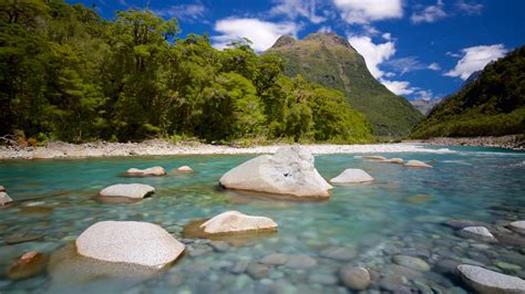 Anderson Park Fiordland & Southland