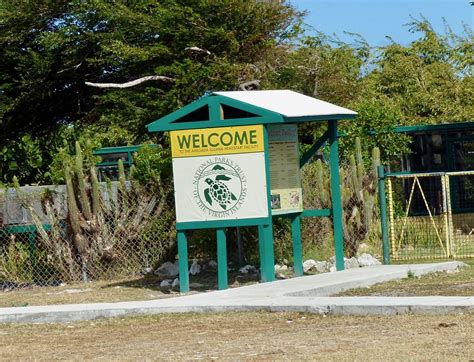 Anegada Iguana Headstart Facility British Virgin Islands