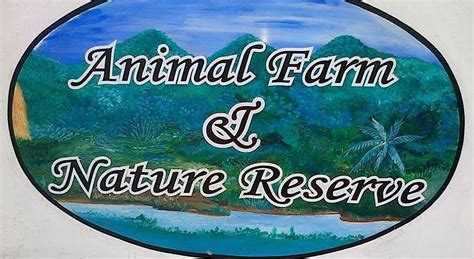 Animal Farm Montego Bay & Northwest Coast