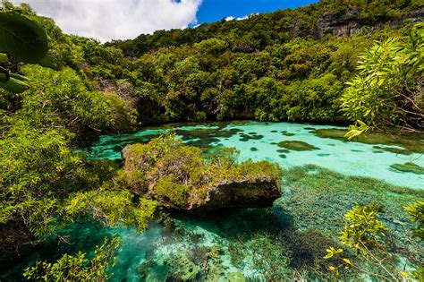 Aquarium Naturelle Loyalty Islands