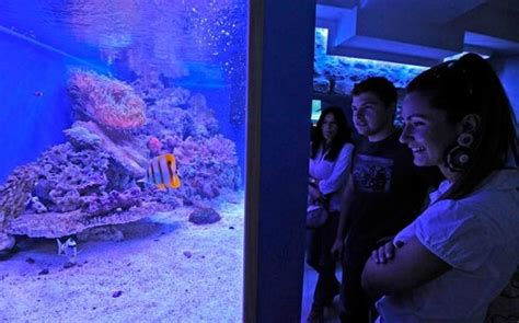 Aquarium Terrarium Šibenik