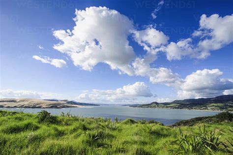 Arai-te-uru Recreation Reserve Bay Of Islands & Northland