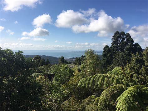 Arataki Auckland Region