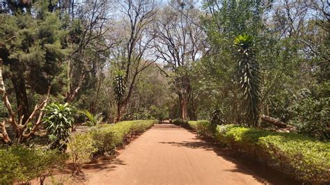 Arboretum Western Kenya