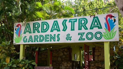 Ardastra Gardens, Zoo & Conservation Center Nassau