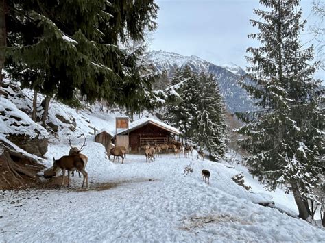 Area Faunistica Pejo Trentino & South Tyrol