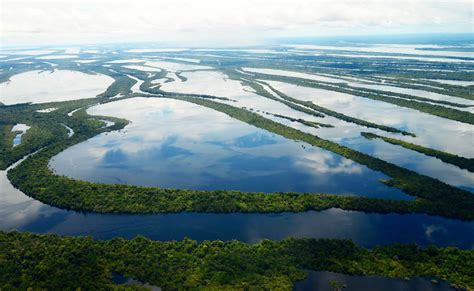 Arquipélago Mariuá Amazonas