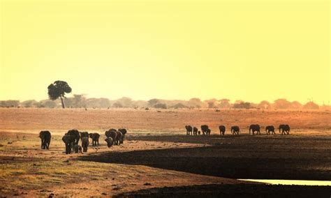 Aruba Dam Kenya