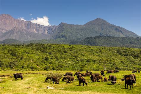 Arusha National Park Northern Tanzania