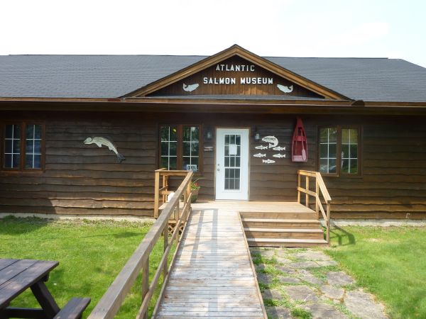 Atlantic Salmon Museum New Brunswick