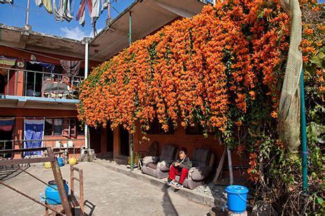 Auspicious Pinnacle Dharma Centre of Dzongsar Pharping