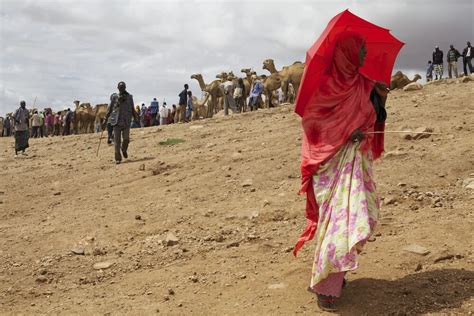 Babille Market Eastern Ethiopia