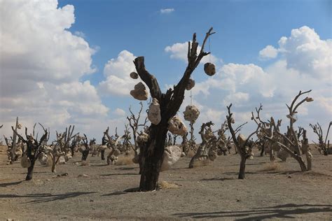 Bagh-e Sangi Southeastern Iran