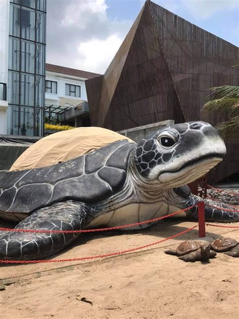 Bali Sea Turtle Society Kuta & Legian