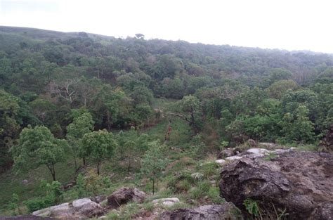 Balpakram National Park Meghalaya