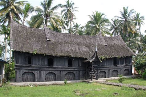 Belimbing West Sumatra