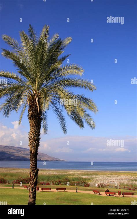 Bet Gabriel Sea Of Galilee