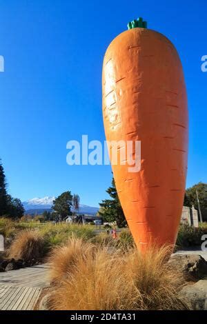 Big Carrot Taupo & The Ruapehu Region