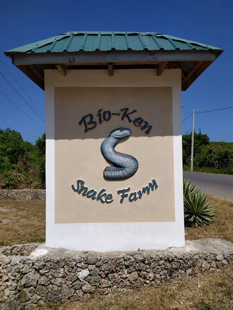 Bio-Ken Snake Farm & Laboratory Watamu