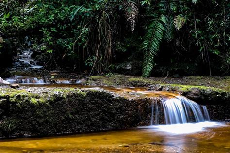 Biotopo del Quetzal Alta & Baja Verapaz