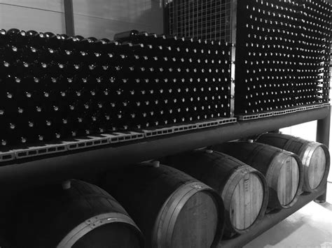 Bodega Elysar El Hierro