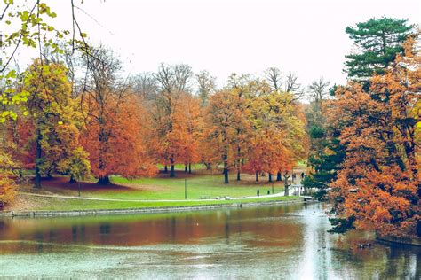 Bois de la Cambre Brussels