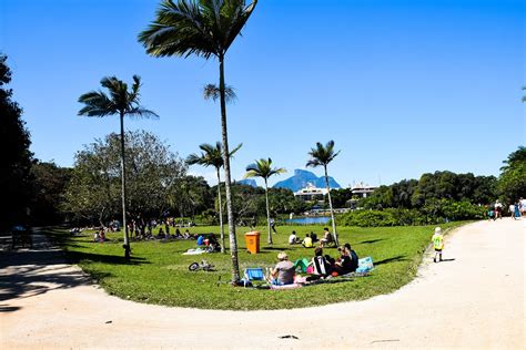 Bosque da Barra Rio De Janeiro