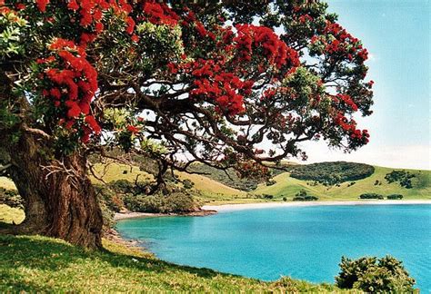 Botanica Bay Of Islands & Northland