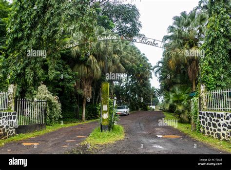 Botanical Gardens Cameroon