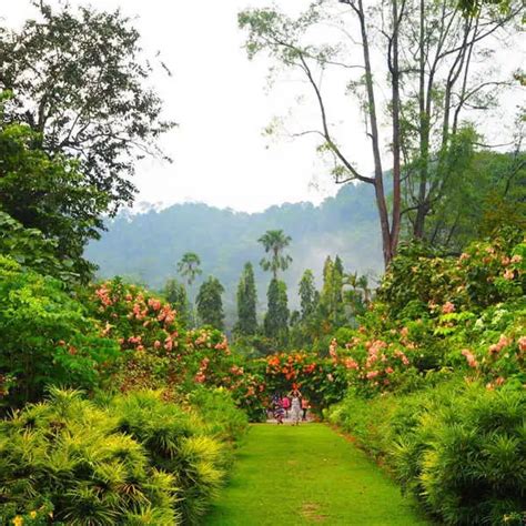 Botanical Gardens Penang