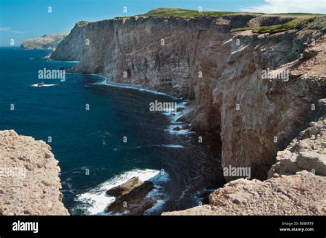 Boutte du Cap Western Newfoundland