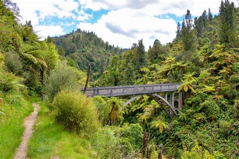 Bridge to Nowhere Taranaki & Whanganui