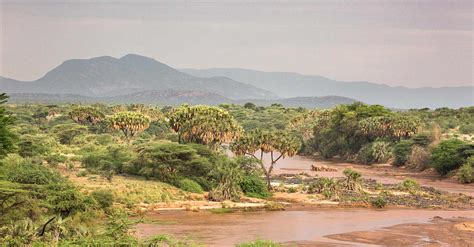 Buffalo Springs National Reserve Northern Kenya