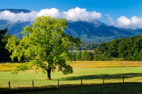 Cades Cove Great Smoky Mountains National Park