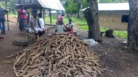 Cassava Point Liberia