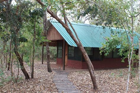 Catapu Forest Reserve Mozambique