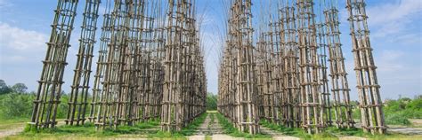 Catedrale Vegetale Central Lombardy