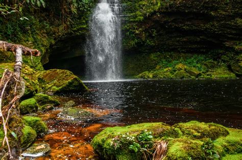 Caverna de los Guácharos Around Medellín