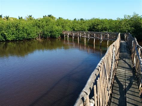 Caye Caulker Forest Reserve