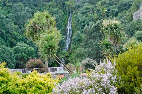 Centennial Gardens Napier