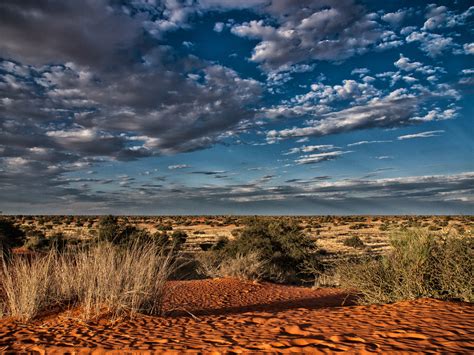 Central Kalahari Game Reserve Botswana