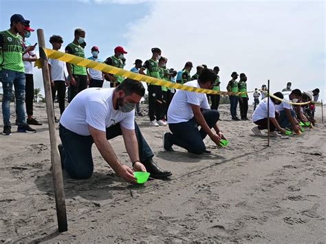 Centro de Protección & Conservación de la Tortuga Marina en Chiapas