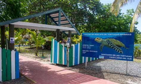 Centro de Rescate de Tortugas Marinas Isla De La Juventud & Cayo Largo Del Sur