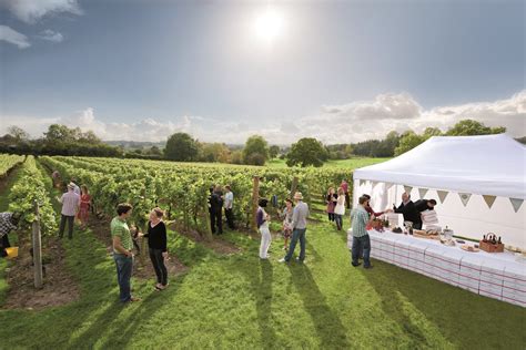 Chapel Down Vinery Kent