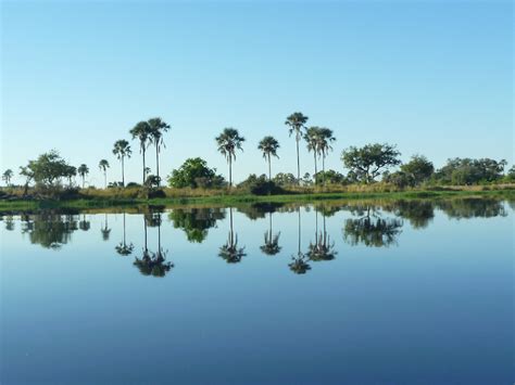 Chief's Island Okavango Delta